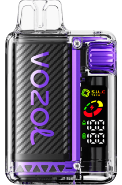 VOZOL Vape Sale - VOZOL VISTA 16000/20000 24VRH615 mango fresa